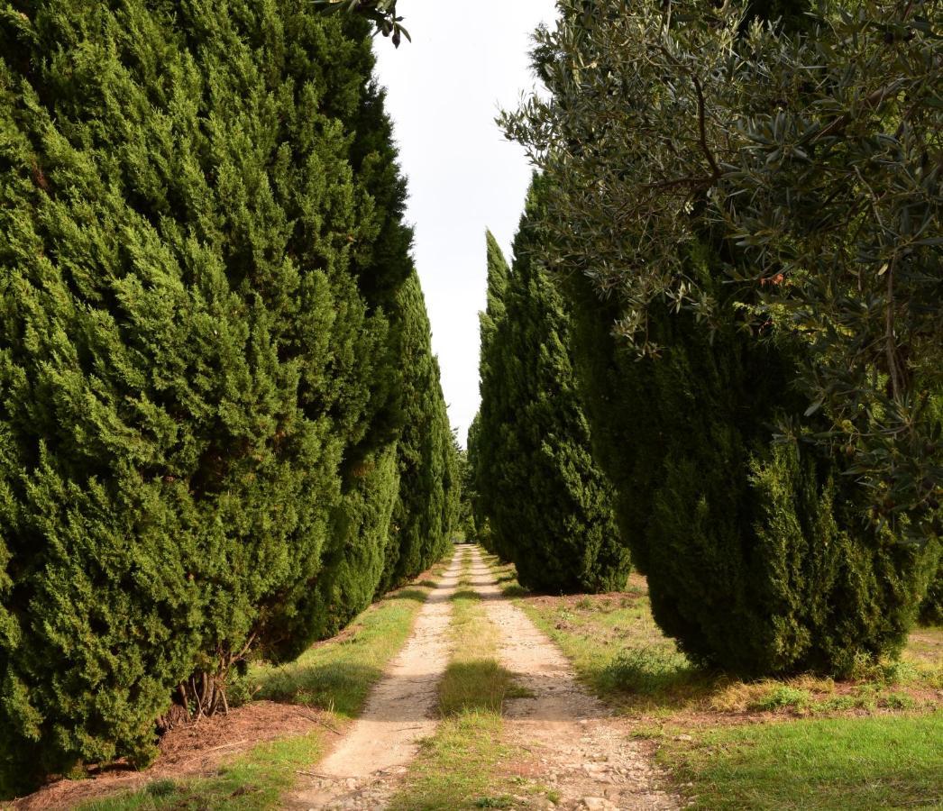 Chateau Saint-Esprit Bed and Breakfast Draguignan Buitenkant foto
