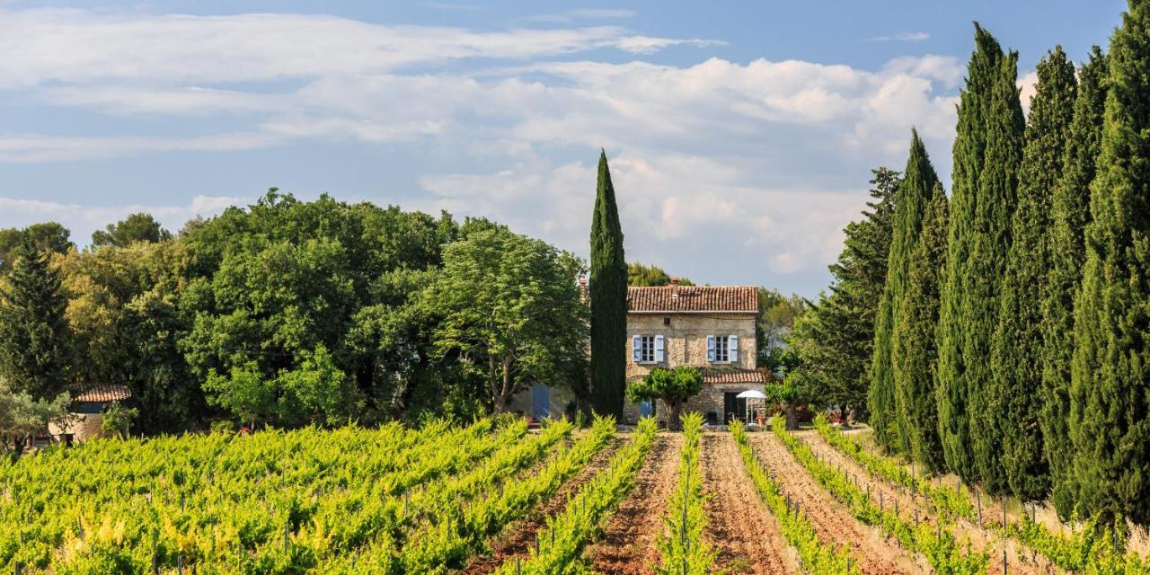 Chateau Saint-Esprit Bed and Breakfast Draguignan Buitenkant foto