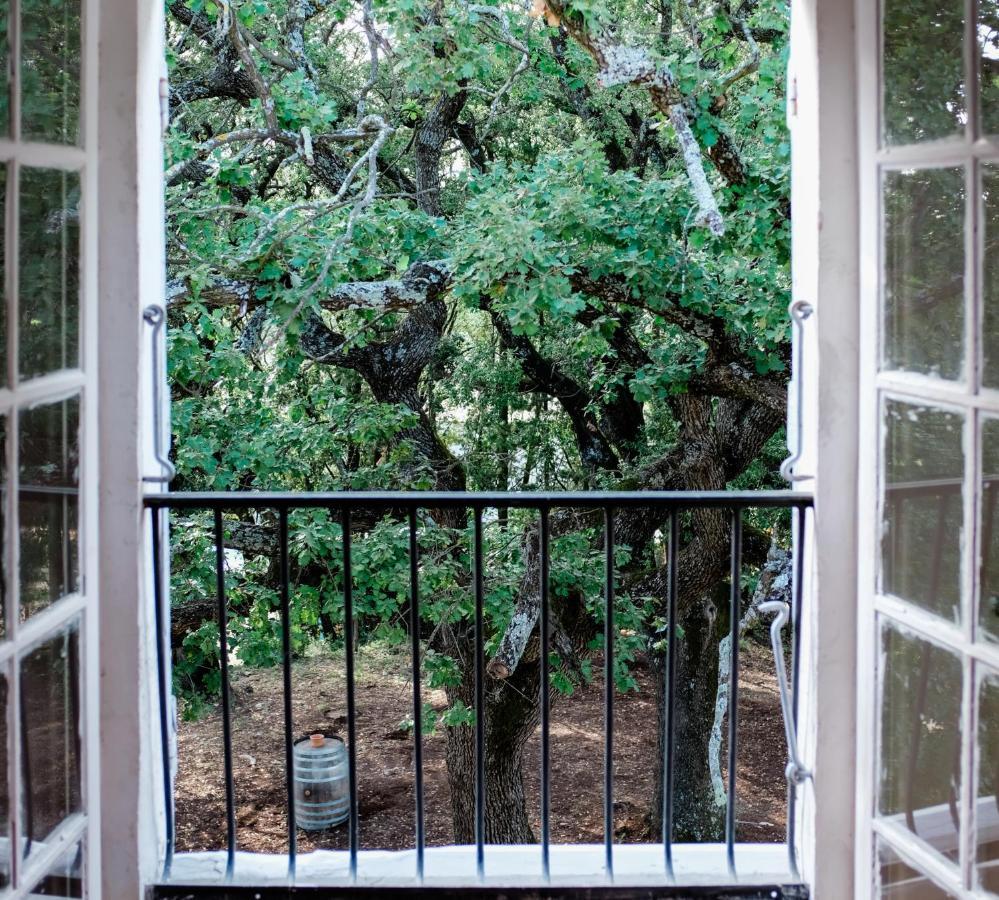 Chateau Saint-Esprit Bed and Breakfast Draguignan Buitenkant foto